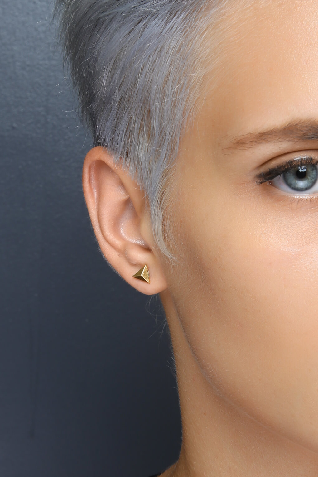 Gig Post Earrings 0340952-3