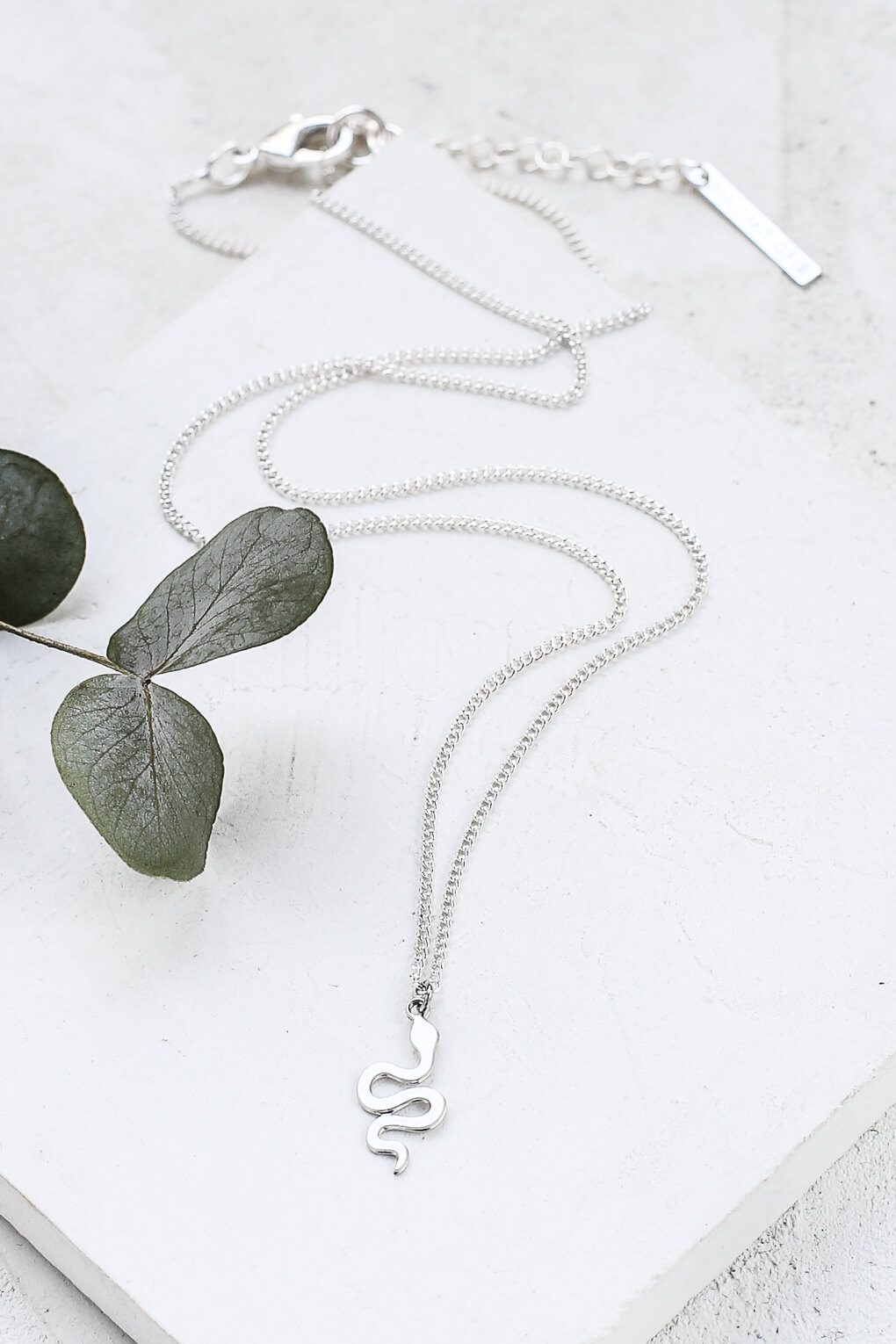 0121752-Tiny Snake Necklace-4