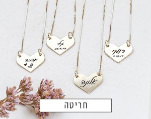 shlomit ofir banner